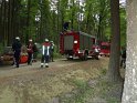 Maibaum_2018 (2)